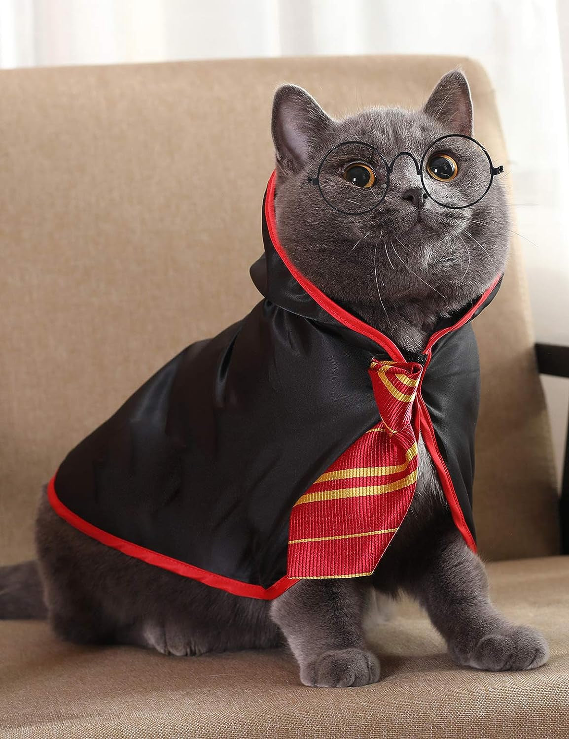 Enchant Your Pet's Halloween with This Adorable Red Wizard Costume for Small Dogs and Kittens - Perfect for Pawsitively Magical Moments!