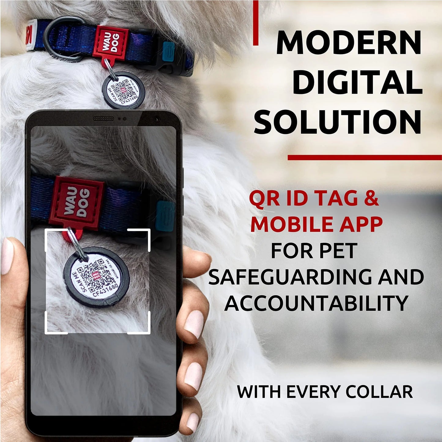 Adjustable Nylon Dog Collar with QR ID Tag