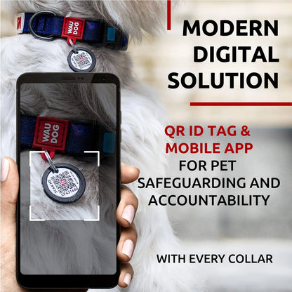 Adjustable Nylon Dog Collar with QR ID Tag