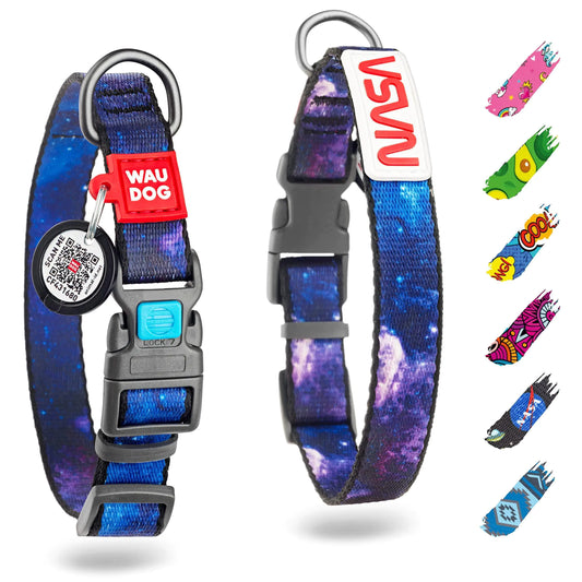Adjustable Nylon Dog Collar with QR ID Tag