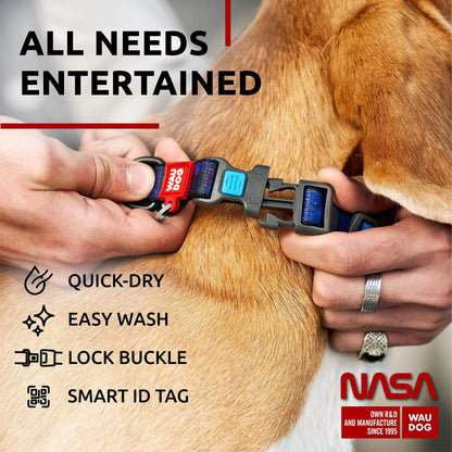 Adjustable Nylon Dog Collar with QR ID Tag